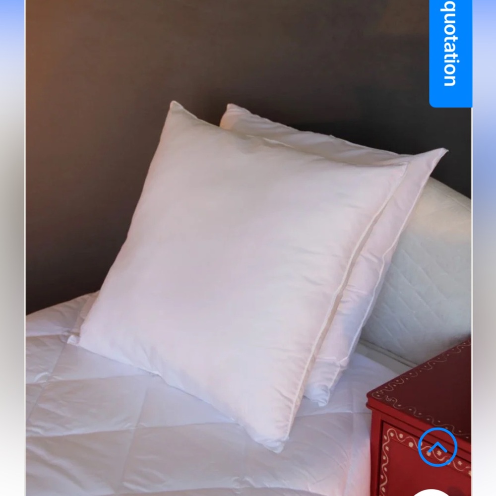 Sezane La Compagnie Dumas French Made Pillow Insert.